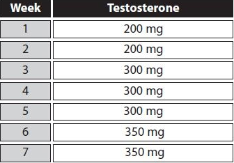 Testosteron erster Zyklus