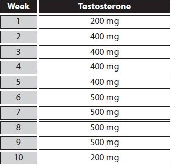 Testosteron-Zyklus