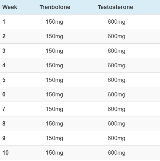 Tren-Testzyklus